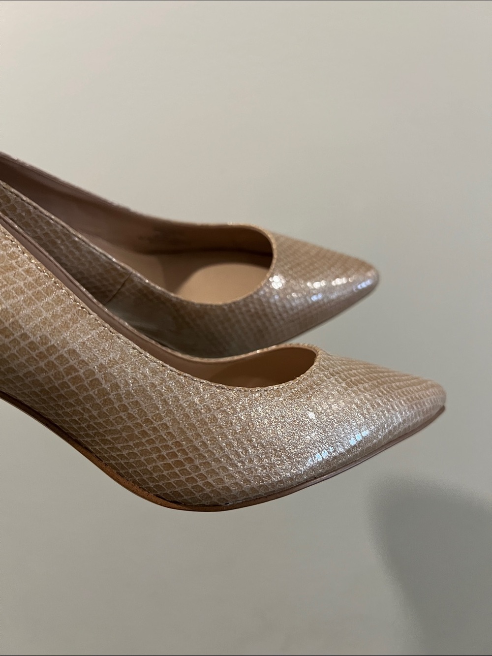BCBGeneration Nude Textured Pointed-Toe Women's Pump